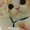 ユーザーのアイコン画像