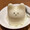 ユーザーのアイコン画像