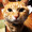 ユーザーのアイコン画像
