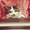 猫二
